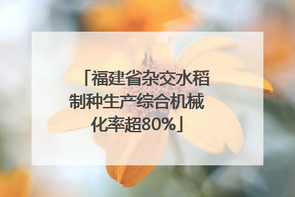 福建省杂交水稻制种生产综合机械化率超80%