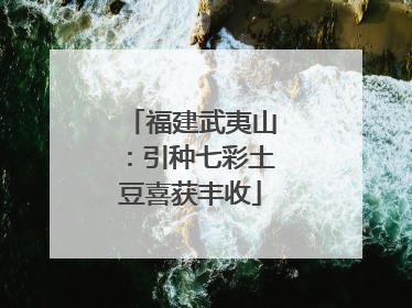 福建武夷山：引种七彩土豆喜获丰收