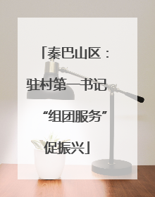 秦巴山区：驻村第一书记“组团服务”促振兴