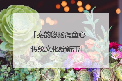 秦韵悠扬润童心 传统文化绽新蕾