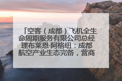 空客（成都）飞机全生命周期服务有限公司总经理布莱恩·阿格纽：成都航空产业生态完备，营商环境优势显著