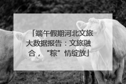 端午假期河北文旅大数据报告：文旅融合，“粽”情绽放