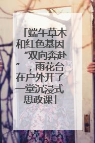 端午草木和红色基因“双向奔赴”，雨花台在户外开了一堂沉浸式思政课