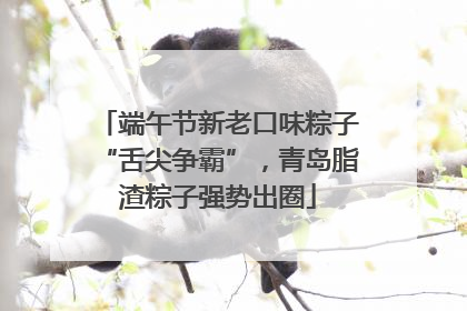 端午节新老口味粽子“舌尖争霸”，青岛脂渣粽子强势出圈