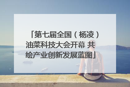 第七届全国（杨凌）油菜科技大会开幕 共绘产业创新发展蓝图