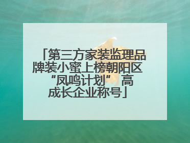第三方家装监理品牌装小蜜上榜朝阳区 “凤鸣计划” 高成长企业称号