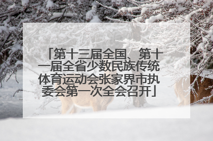 第十三届全国、第十一届全省少数民族传统体育运动会张家界市执委会第一次全会召开