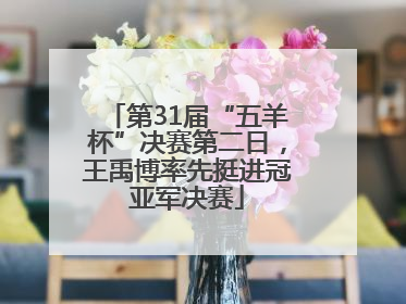 第31届“五羊杯”决赛第二日，王禹博率先挺进冠亚军决赛