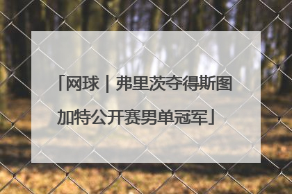 网球｜弗里茨夺得斯图加特公开赛男单冠军
