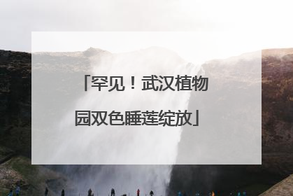 罕见！武汉植物园双色睡莲绽放