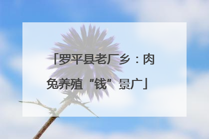 罗平县老厂乡：肉兔养殖“钱”景广