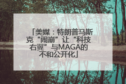 美媒：特朗普马斯克“闹崩”让“科技右翼”与MAGA的不和公开化