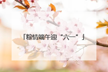 粽情端午迎“六一”