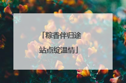 粽香伴归途 站点绽温情