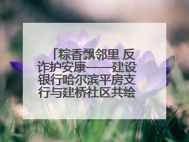 粽香飘邻里 反诈护安康——建设银行哈尔滨平房支行与建桥社区共绘端午温情画卷