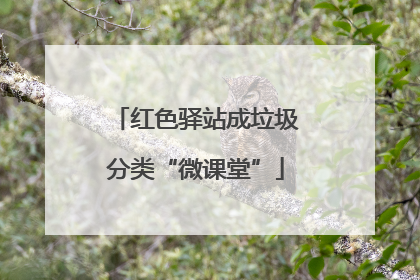 红色驿站成垃圾分类“微课堂”
