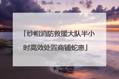 纱帽消防救援大队半小时高效处置商铺蛇患