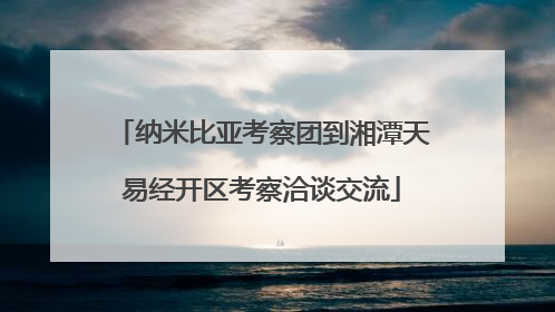 纳米比亚考察团到湘潭天易经开区考察洽谈交流