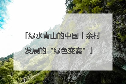 绿水青山的中国丨余村发展的“绿色变奏”