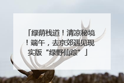 绿荫栈道！清凉秘境！端午，去京郊遇见现实版“绿野仙踪”