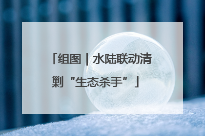 组图｜水陆联动清剿“生态杀手”