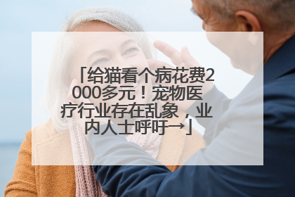 给猫看个病花费2000多元！宠物医疗行业存在乱象，业内人士呼吁→