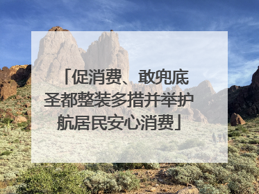 促消费、敢兜底 圣都整装多措并举护航居民安心消费