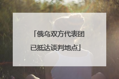 俄乌双方代表团已抵达谈判地点