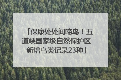 保康处处闻啼鸟！五道峡国家级自然保护区新增鸟类记录23种