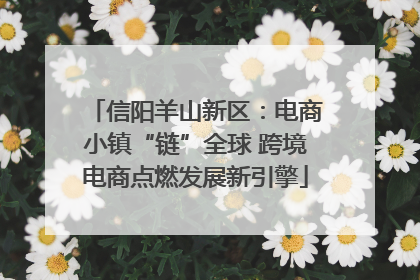 信阳羊山新区：电商小镇“链”全球 跨境电商点燃发展新引擎