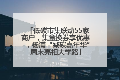 低碳市集联动55家商户，集章换券享优惠，杨浦“减碳嘉年华”周末亮相大学路
