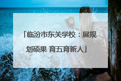 临汾市东关学校：展规划硕果 育五育新人
