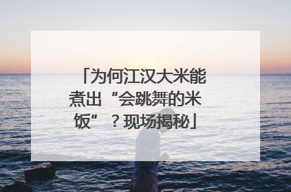 为何江汉大米能煮出“会跳舞的米饭”？现场揭秘