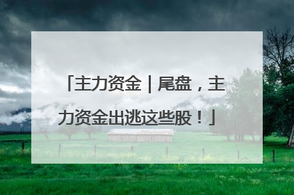 主力资金｜尾盘，主力资金出逃这些股！