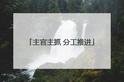 主官主抓 分工推进