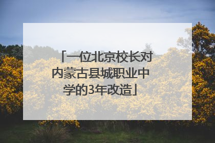 一位北京校长对内蒙古县城职业中学的3年改造