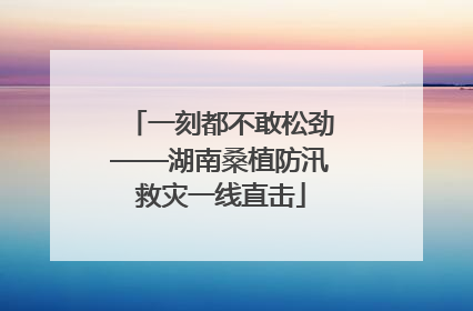 一刻都不敢松劲——湖南桑植防汛救灾一线直击