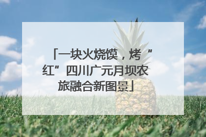 一块火烧馍，烤“红”四川广元月坝农旅融合新图景