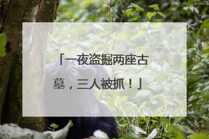 一夜盗掘两座古墓，三人被抓！