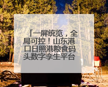 一屏统览，全局可控！山东港口日照港粮食码头数字孪生平台上线
