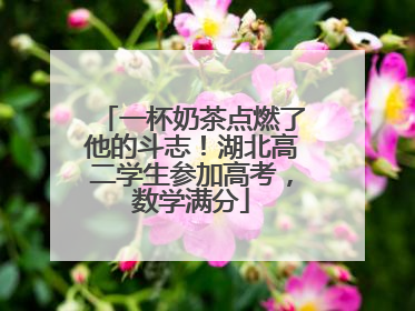 一杯奶茶点燃了他的斗志！湖北高二学生参加高考，数学满分