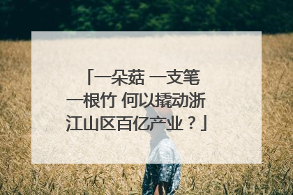 一朵菇 一支笔 一根竹 何以撬动浙江山区百亿产业？