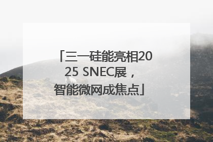 三一硅能亮相2025 SNEC展，智能微网成焦点