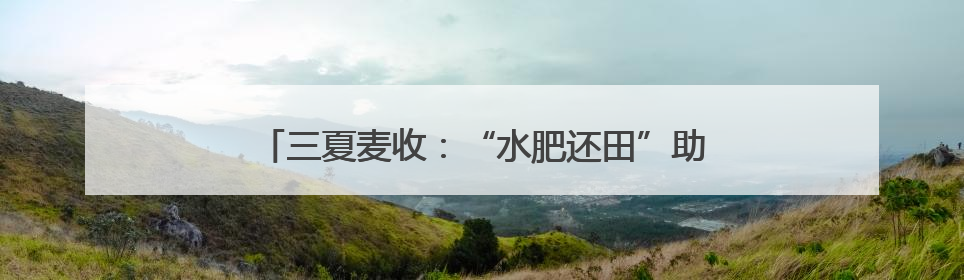 三夏麦收：“水肥还田”助力河南农民“减投增产”