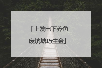 上发电下养鱼 废坑塘巧生金
