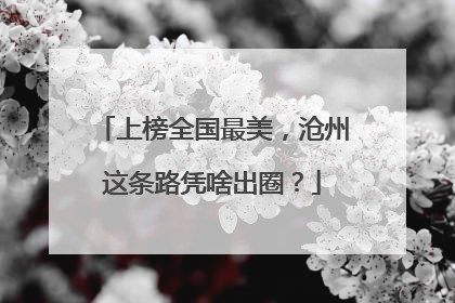 上榜全国最美，沧州这条路凭啥出圈？
