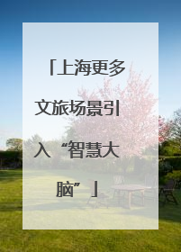 上海更多文旅场景引入“智慧大脑”