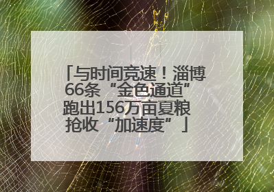 与时间竞速！淄博66条“金色通道”跑出156万亩夏粮抢收“加速度”