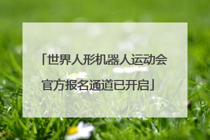 世界人形机器人运动会官方报名通道已开启