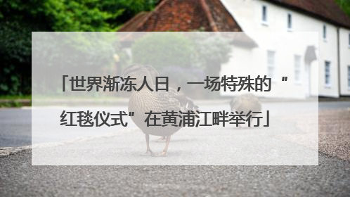 世界渐冻人日，一场特殊的“红毯仪式”在黄浦江畔举行